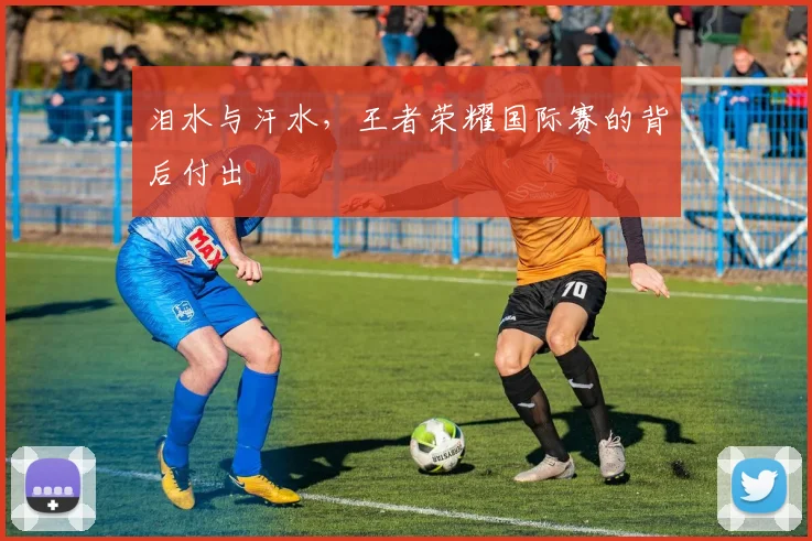 泪水与汗水，王者荣耀国际赛的背后付出
